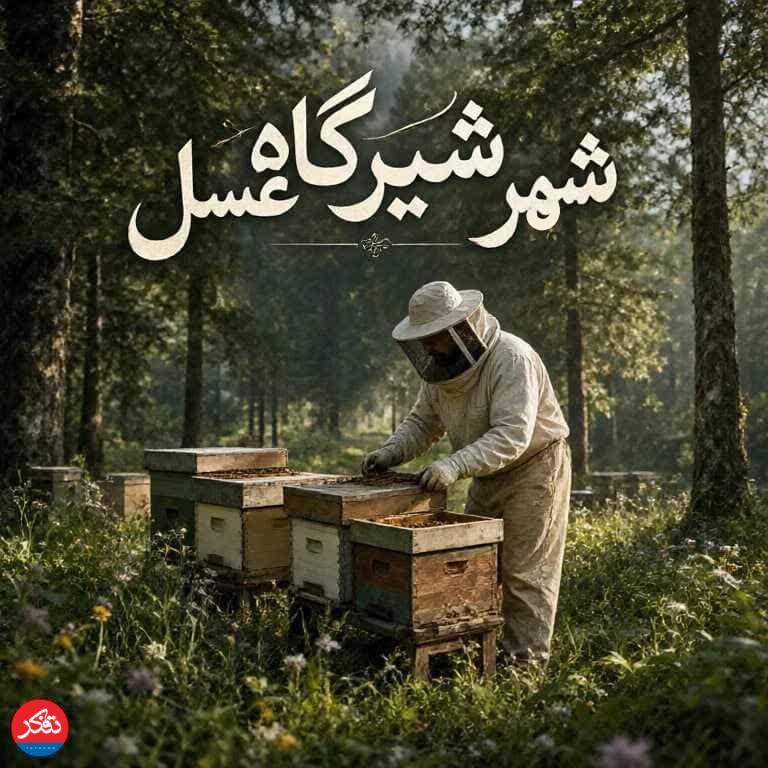 بسته‌بندی، برندسازی و تکمیل زنجیره تولید عسل 