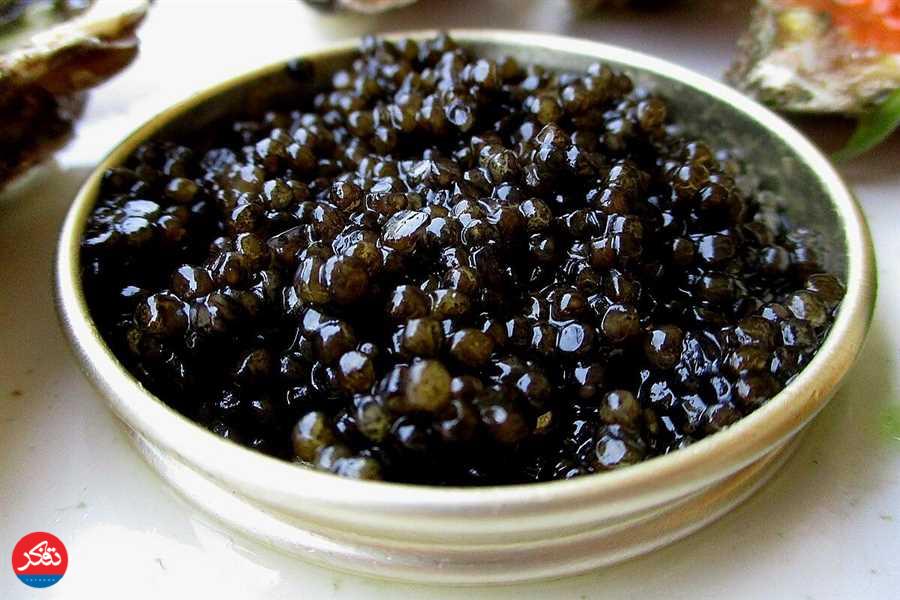 صادرات خاویار از این شهرستان به ۳۲ کشور 