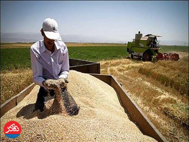 خرید تضمینی یک‌هزار و ۴۰۰ تُن گندم و کلزا