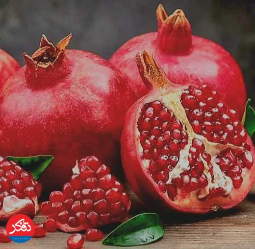 صدای تفکر_ شب یلدا