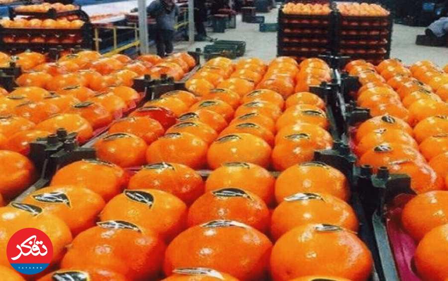  گردش مالی صنعت مرکبات استان مازندران حدود ۵۰ هزار میلیارد تومان است