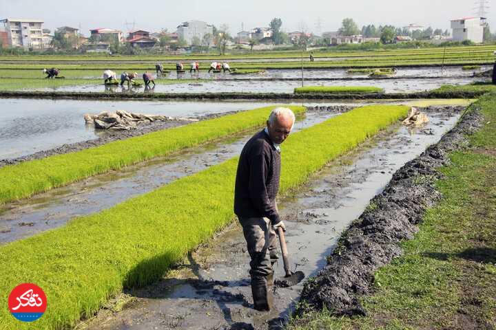 ناهماهنگی رویه‌های تغییر کاربری اراضی در استان با چارچوب‌های ملی 