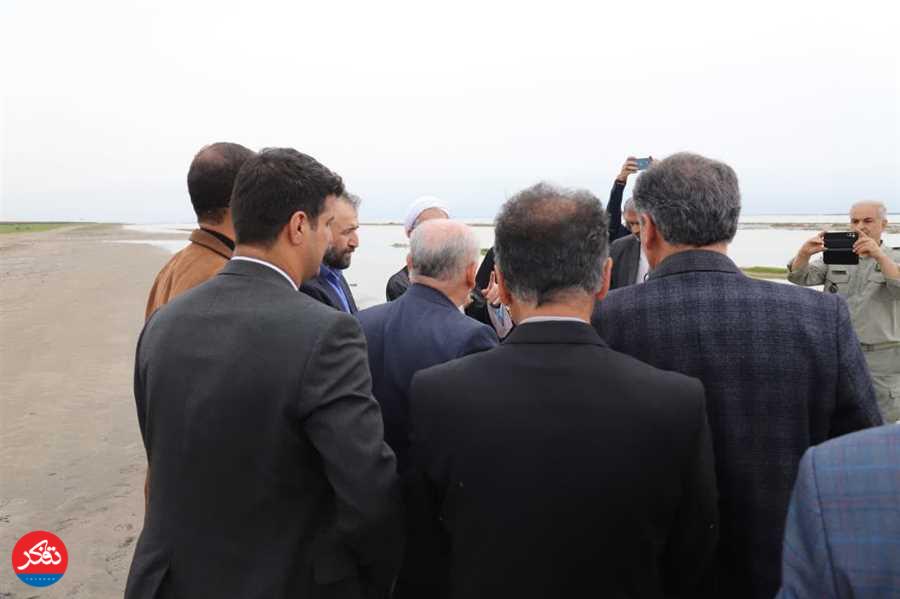 یک سوم از مساحت تالاب میانکاله خشک شد+ عکس