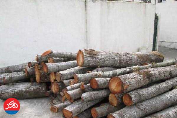 کشف بیش از 3 تن چوب جنگلی قاچاق در نور، بابل و قائم‌شهر