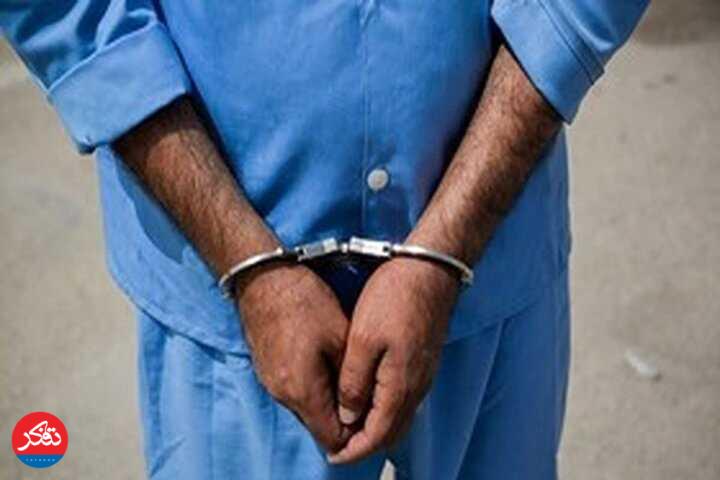 دستگیری عامل اختلال در امنیت         