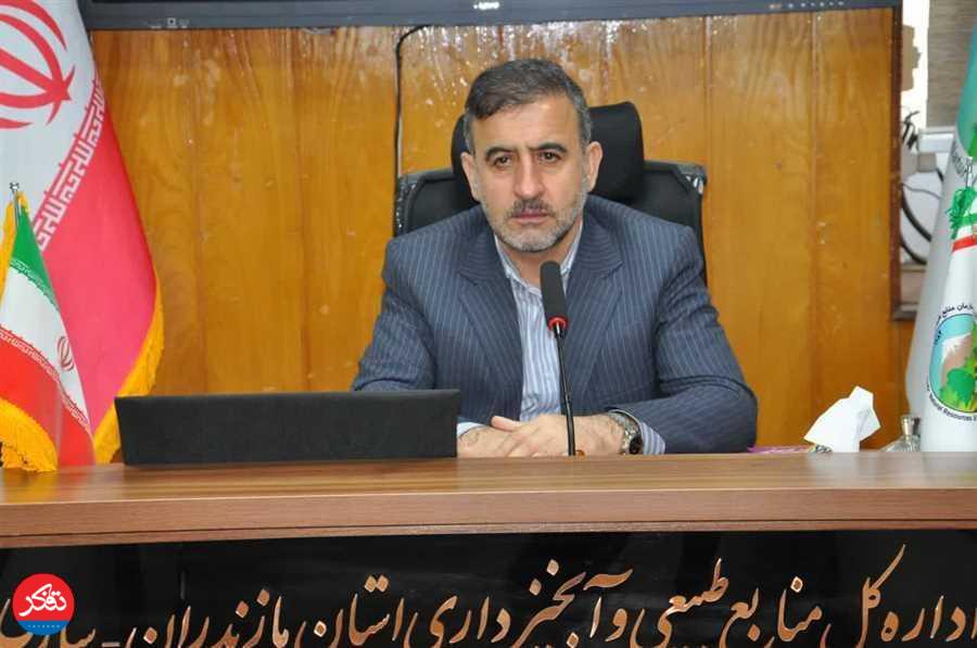 توقیف محموله‌های غیرمجاز چوب در ۳ شهرستان 